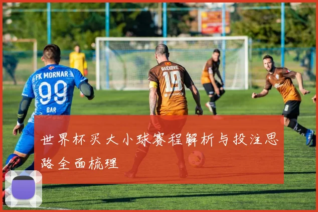 世界杯买大小球赛程解析与投注思路全面梳理